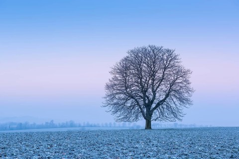 Cold winter morning