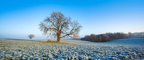 Cultural landscape in winter