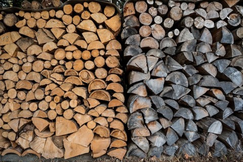 Stacked firewood