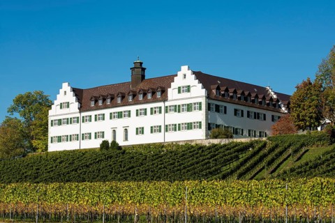 Hersberg Castle with vineyard