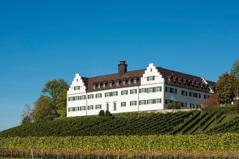 Hersberg Castle with vineyard