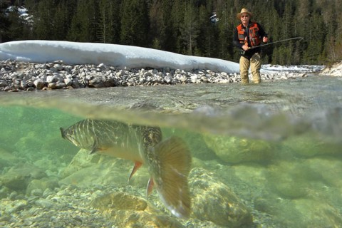 Fly fishing