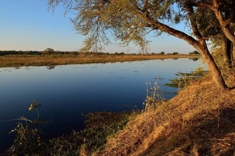 Kwando river