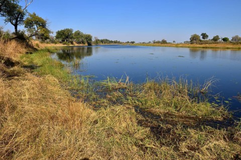 Kwando river