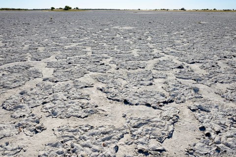 Salty crust
