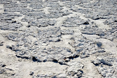 Salty crust