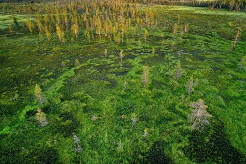 Drone view
