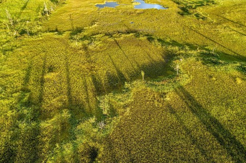 Drone view