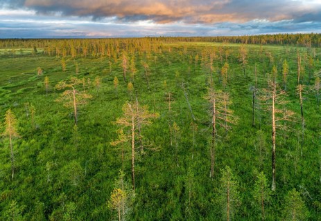 Drone view
