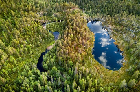 Drone view