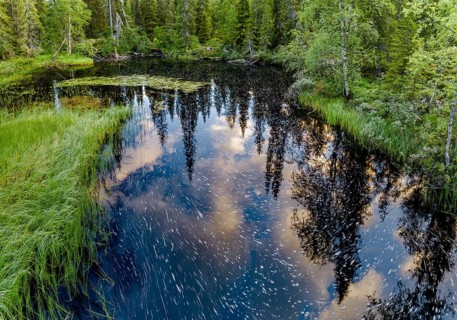 Drone view