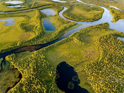 Drone view