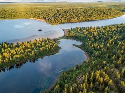 Drone view
