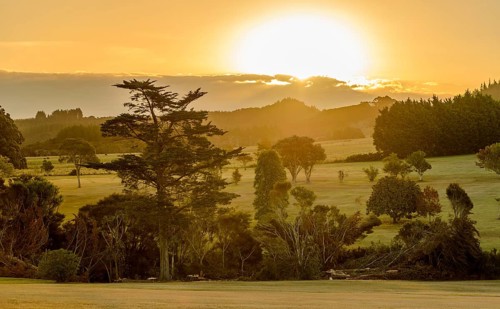 Hilly country in evening mood