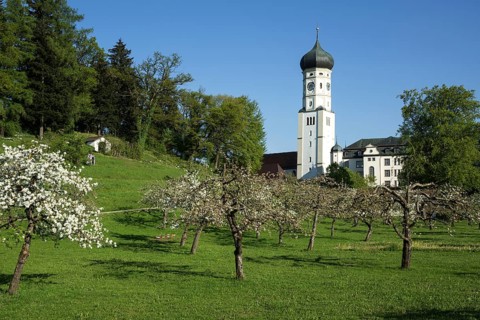 Monastery Church and Monastery Ursberg
