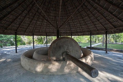 Ancient millstone in Las Terrazas