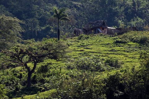 Farm