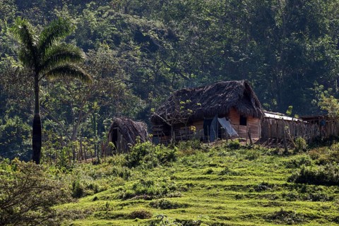 Farm