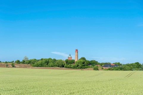 Grain field in front of Schinkel Tower and New Lighthouse