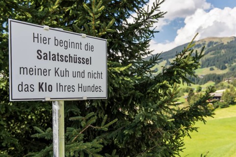 Funny sign beside meadow