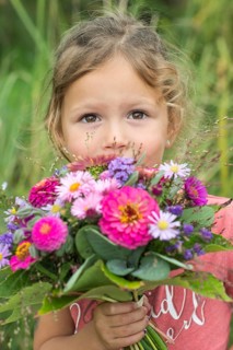 Little girl holding autumn bouquet with Zinnia (Zinnia elegance)