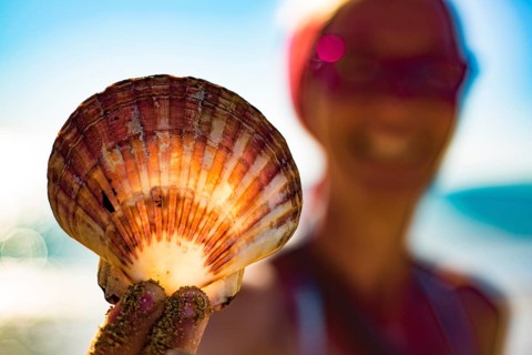Woman holding a fan shell