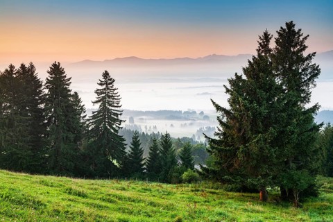 View from the Auerberg near Bernbeuren