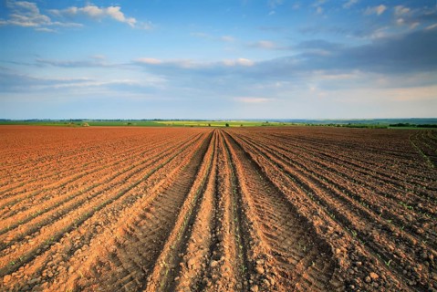 Furrows