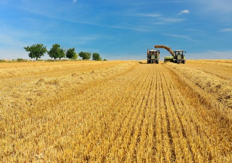 Bale press unloads straw bales onto tractor