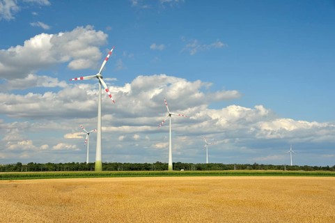 Windmills in between fields
