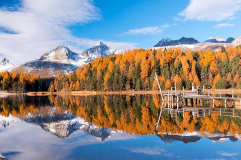 Autumn mood with yellow larches