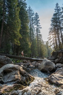 Young man crossing a tree trunk over the Merced River