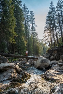 Young man crossing a tree trunk over the Merced River
