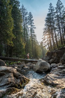 Young man crossing a tree trunk over the Merced River