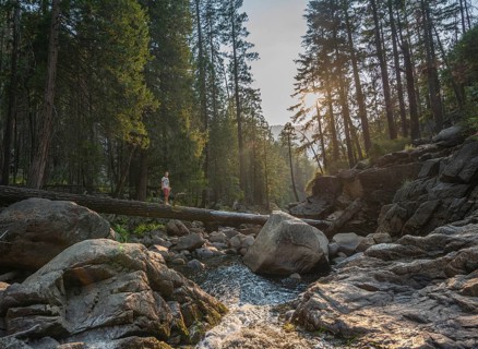 Young man crossing a tree trunk over the Merced River