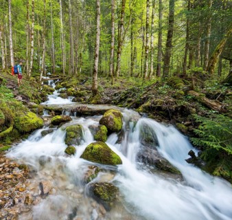 Young man by a creek