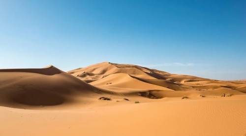 Sand dunes in the desert