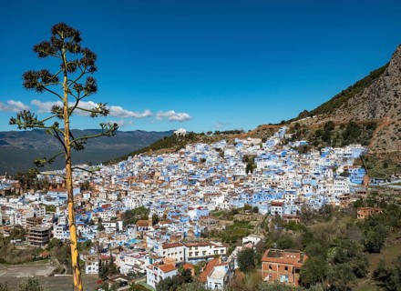 View on blue houses of the medina of Chefchaouen