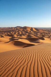 Sand dunes in the desert