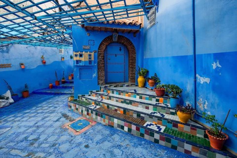 Colorfully tiled staircase with flower pots