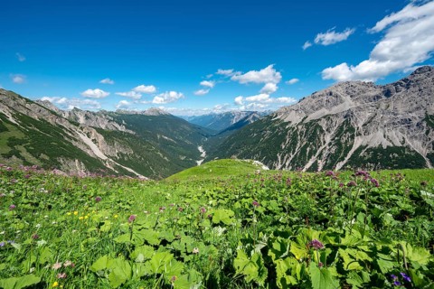 View into the valley of the Schwarzwasserbach