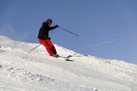 Skier