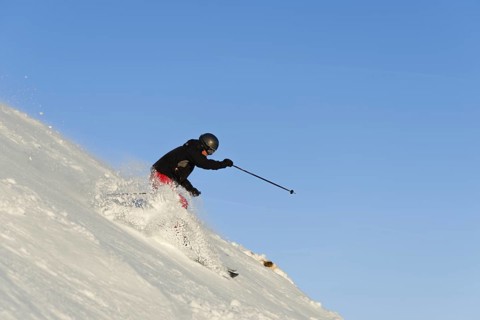 Skier