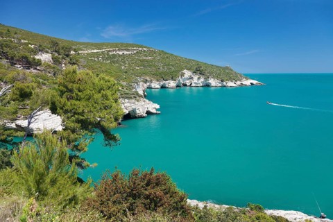 Limestone coast with caves in Vieste
