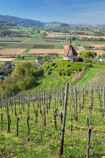 Olberg Chapel near Ehrenstetten