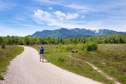 Trail