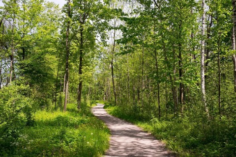 Hiking and bike trail