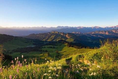 Grasgehren and Besler