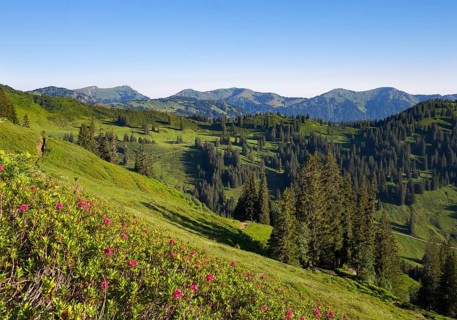 Bolgenalpe