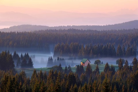 Small house on alp in the forest with morning fog